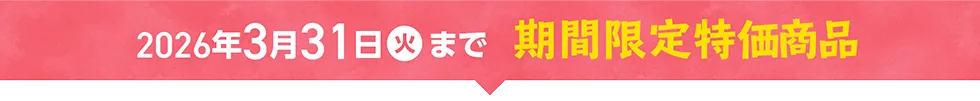 2025年3月31日まで 期間限定特価商品