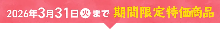 2025年3月31日まで 期間限定特価商品